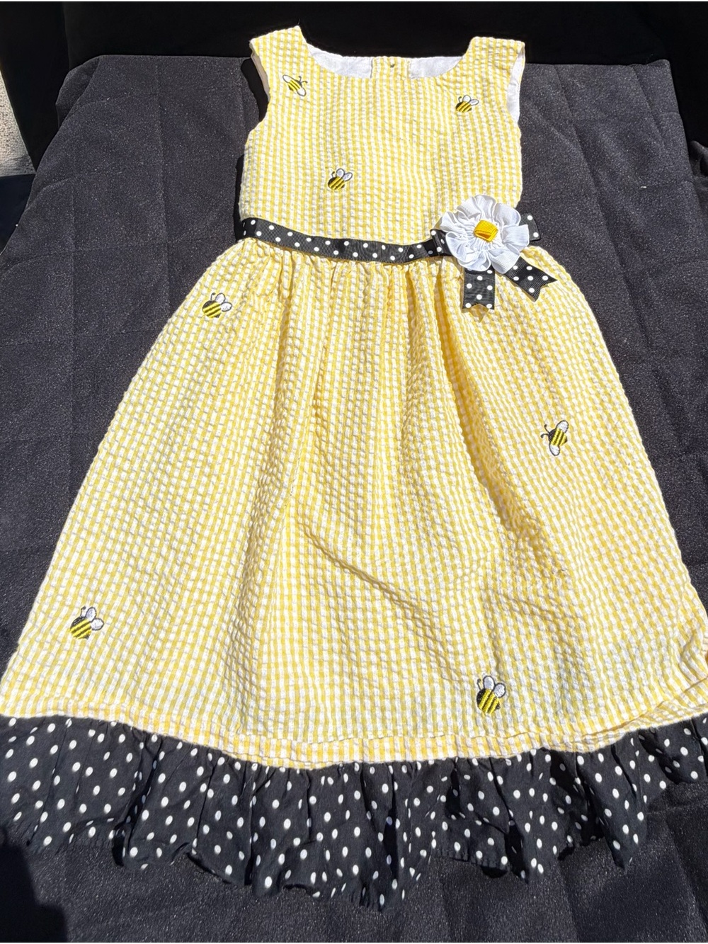 Counting Daisies Girls Gingham Dress Size 5 Yellow/ Black embroidered bee